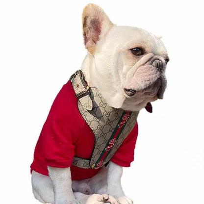 PAWCCI HERO CLASSIC GESCHIRR &amp; LEINE SET 