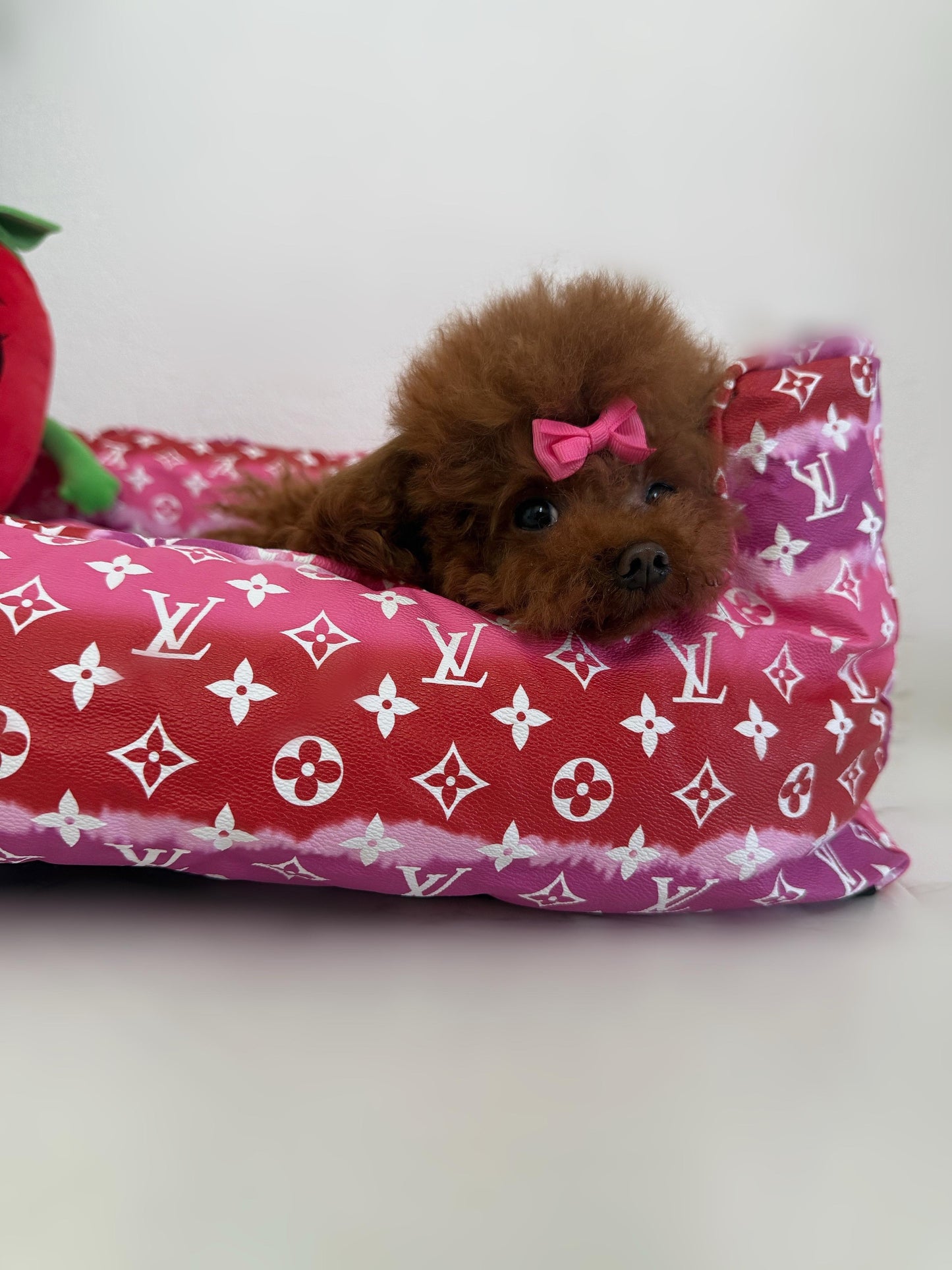 ZULINA Ultimate BED