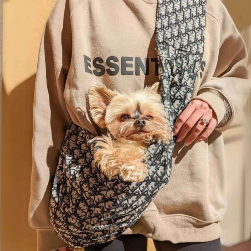 DINONO CARRIER BAG
