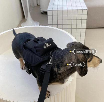 Bag (with little bag) with leash