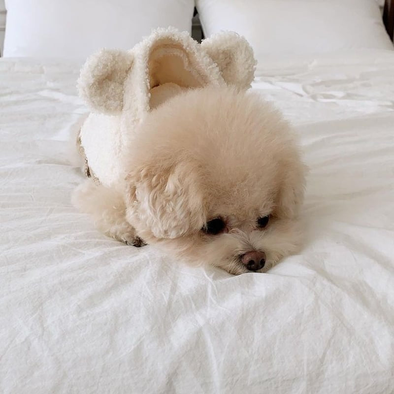 SOFTY BEAR FLEECE-HUNDEWESTE