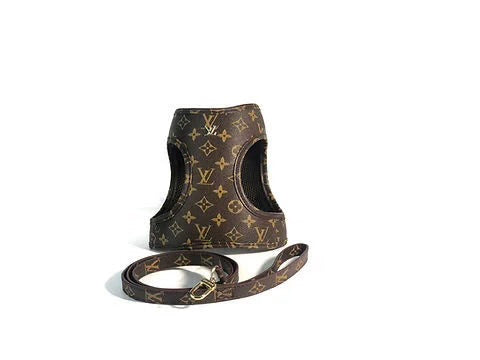 Valentine Harness & Leash set