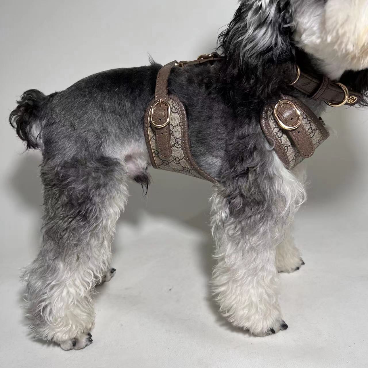 LUXUS-GESCHIRR, HALSBAND UND LEINE AUS LEDER FÜR HUNDE