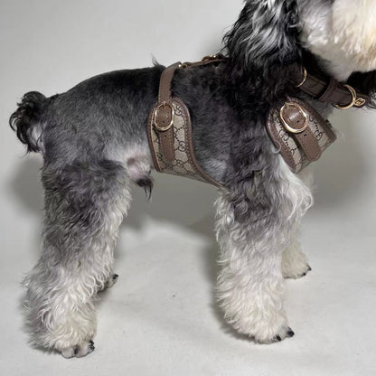 LUXUS-GESCHIRR, HALSBAND UND LEINE AUS LEDER FÜR HUNDE