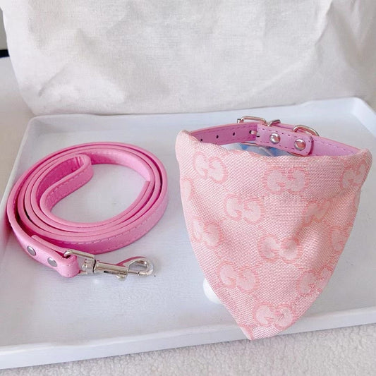GINO Collar with Removable Bandana and Matching Leash