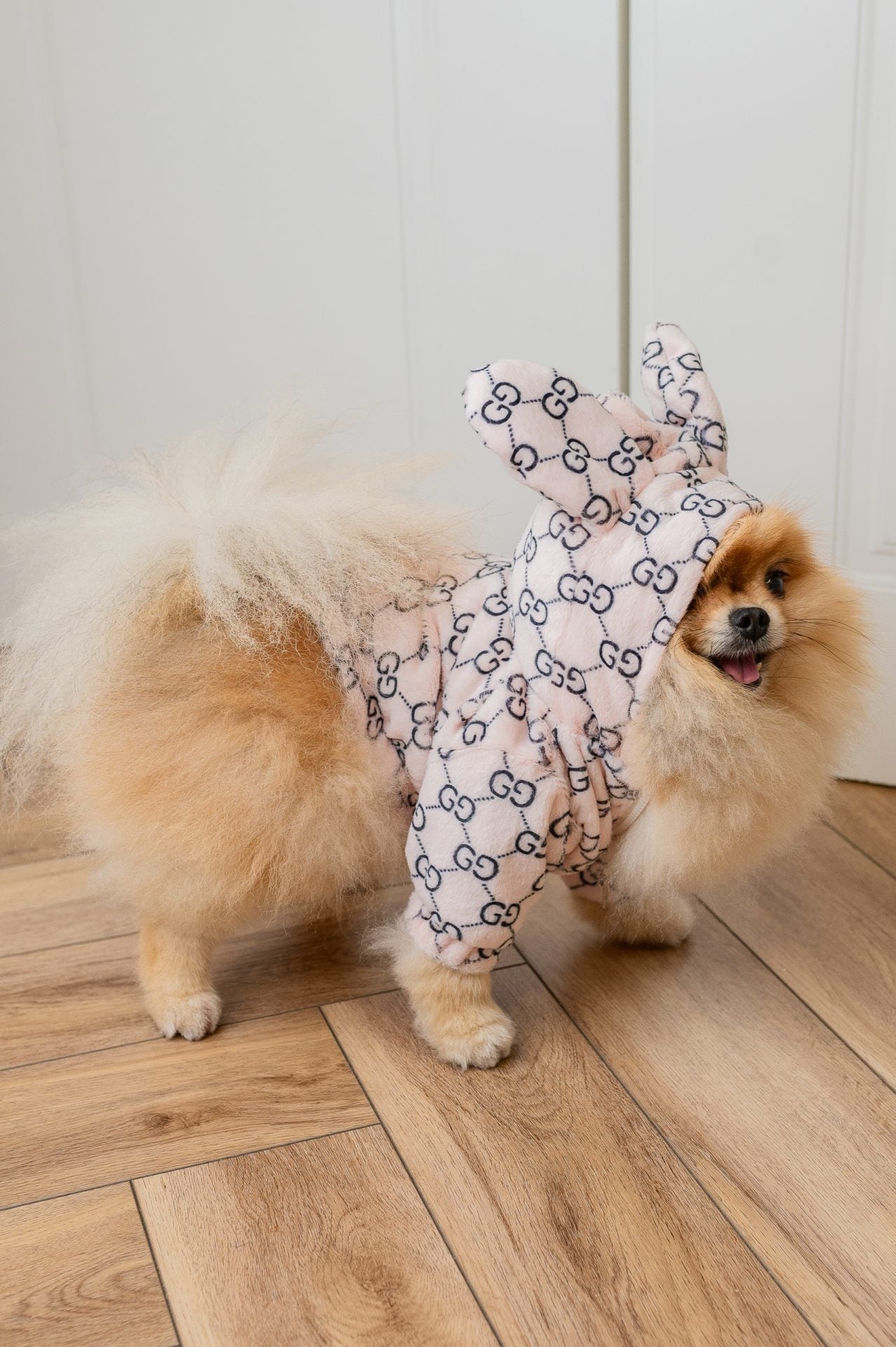 PUCCINO JACKE OHREN