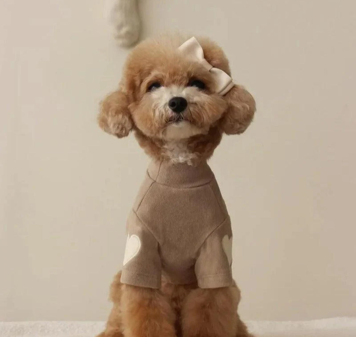 HERZIGER PULLOVER