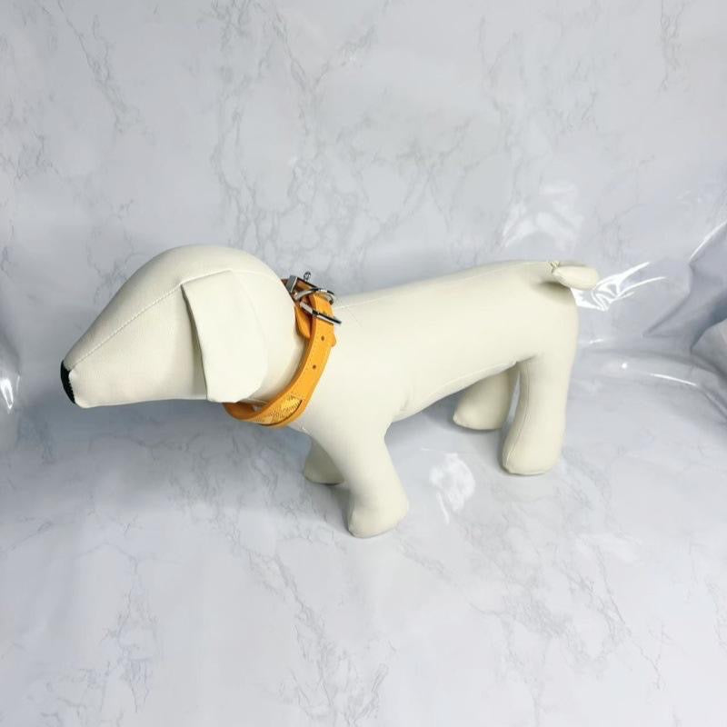 BURKINA COLLAR & LEASH SET