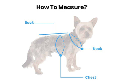 MARINE HUNDEPULLOVER