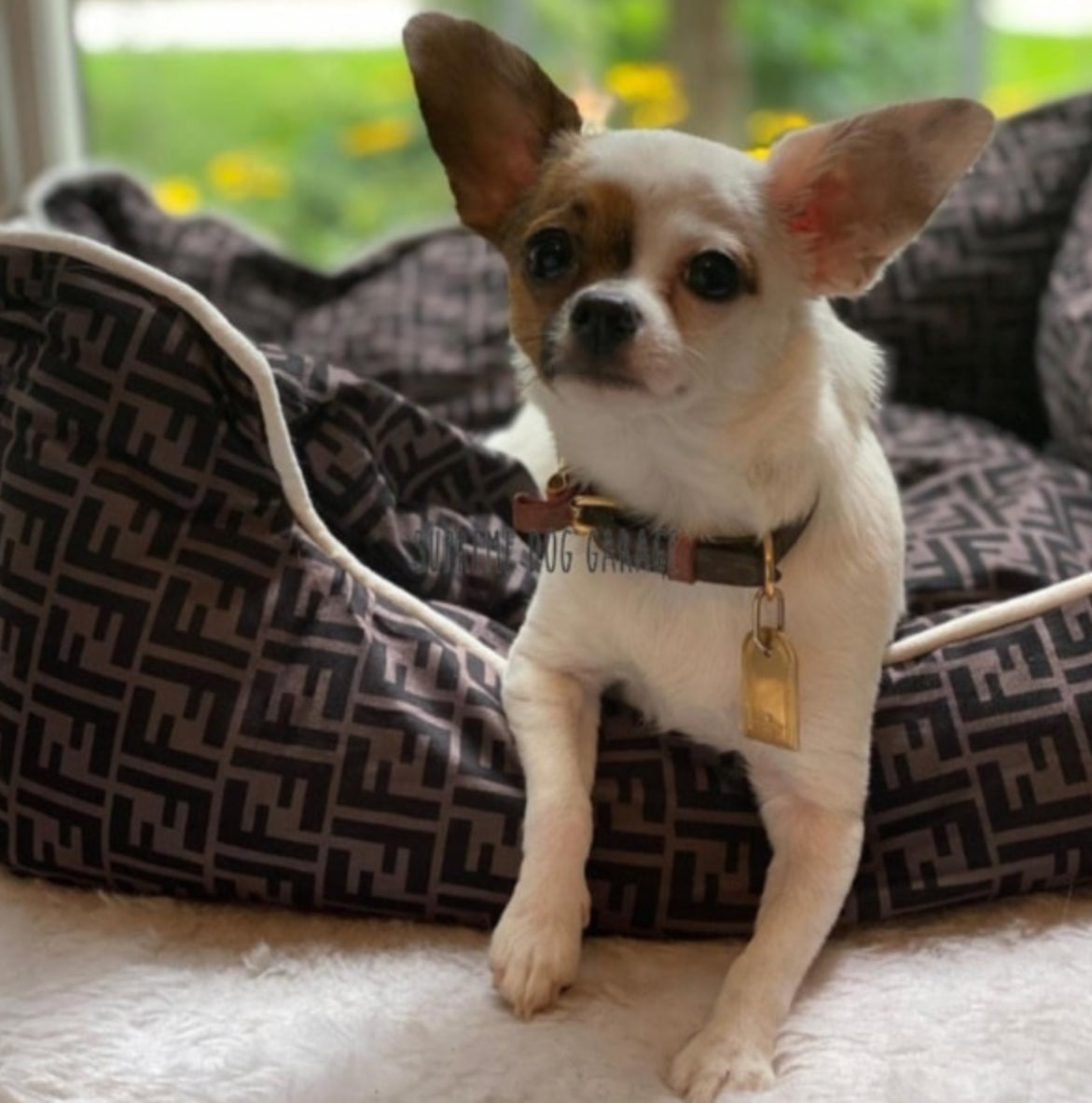 Furdi Dog Bed