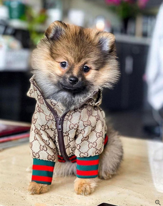 Zoi Dog Jacket