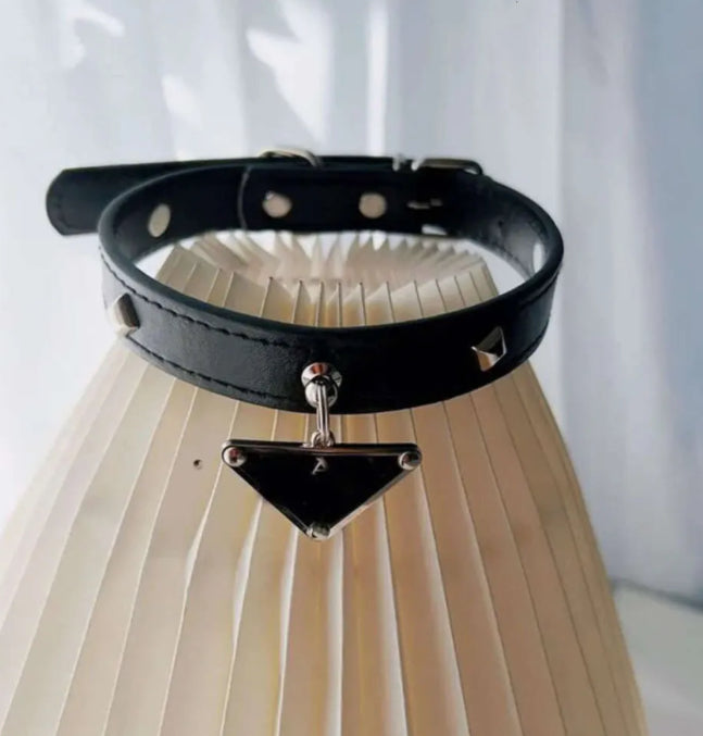 LUXUS-SET AUS HALSBAND UND LEINE IN SCHWARZ
