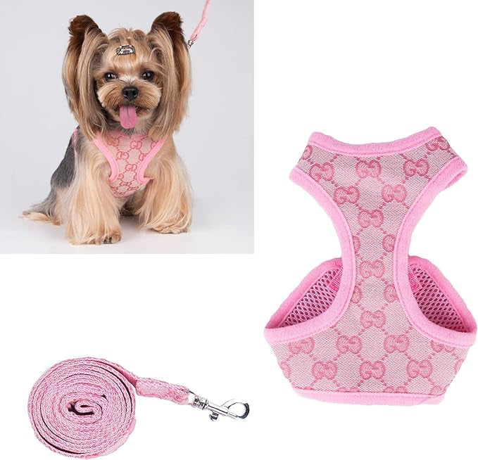 BELLA GESCHIRR &amp; LEINE SET