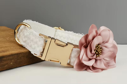 Süßes Halsband und Leine, 2-teiliges Set