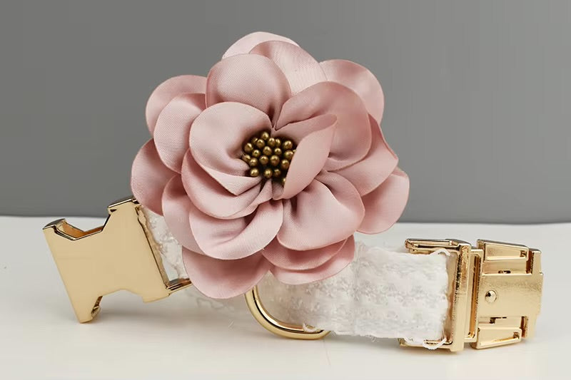 Süßes Halsband und Leine, 2-teiliges Set