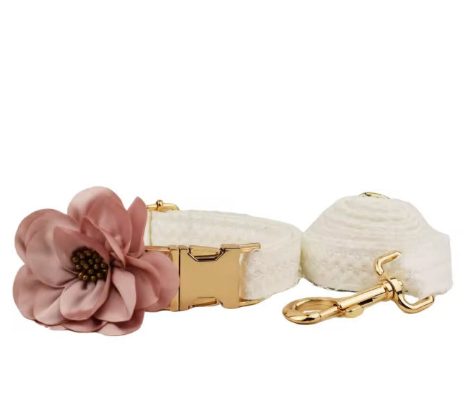 Süßes Halsband und Leine, 2-teiliges Set