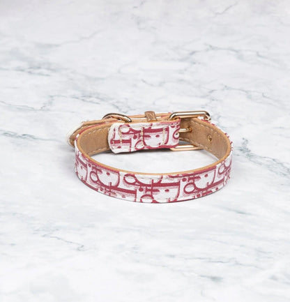 DONATO HALSBAND &amp; LEINE SET